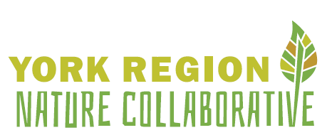 York Region Nature Collaborative