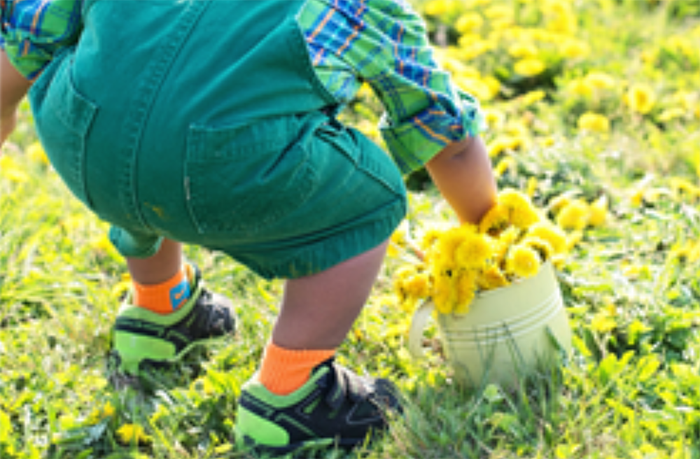 Child With Flowers